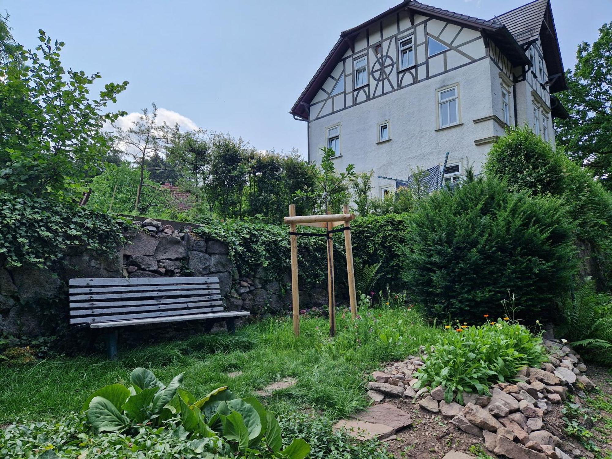 Ferienwohnung Im Logierhaus Villa Ihler Luisenthal Eksteriør billede