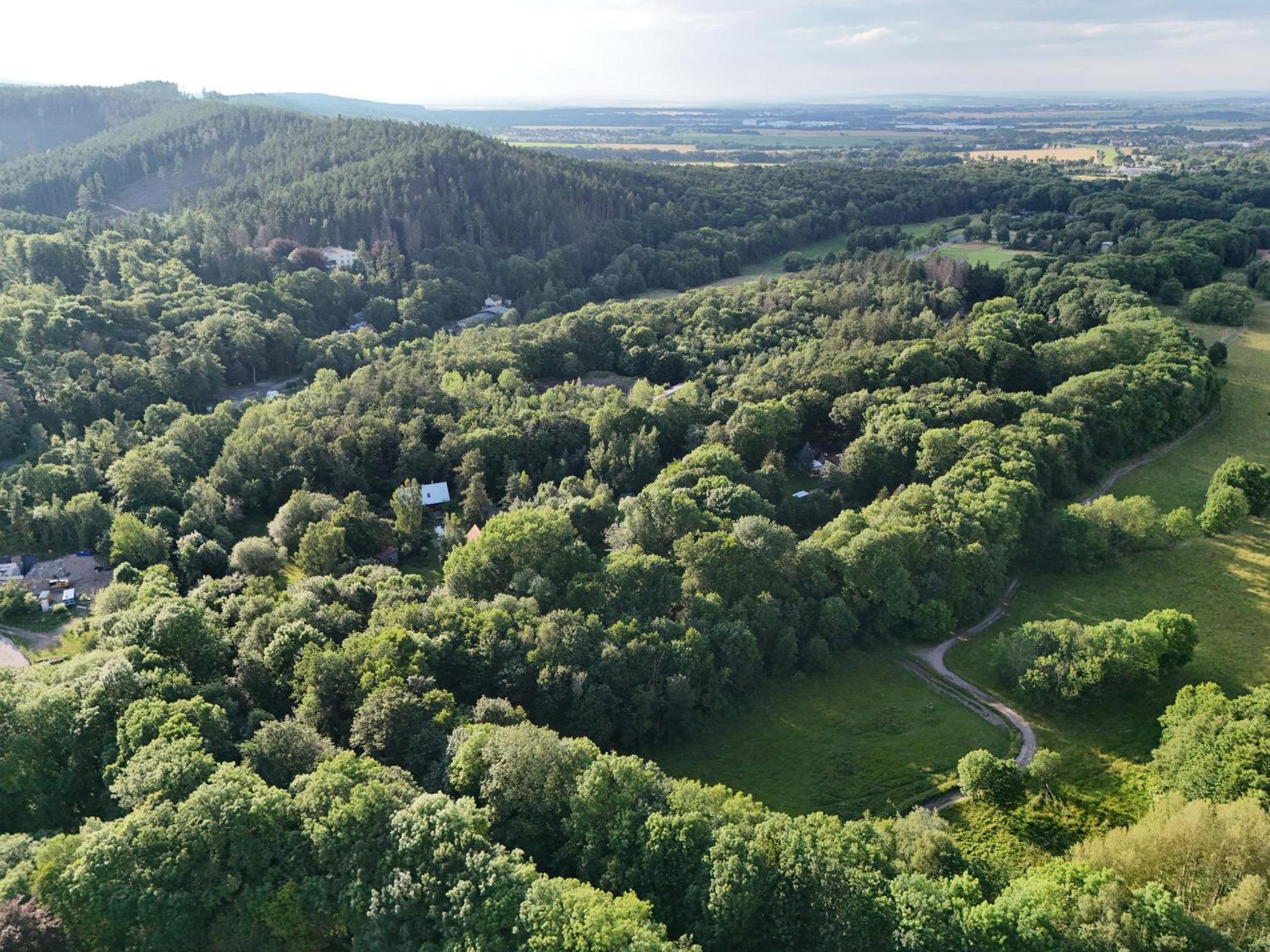 Ferienwohnung Im Logierhaus Villa Ihler Luisenthal Eksteriør billede